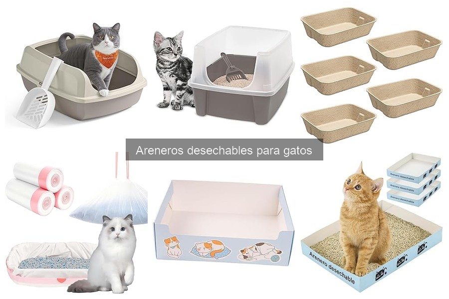 Dónde comprar areneros desechables para gatos a buen precio
