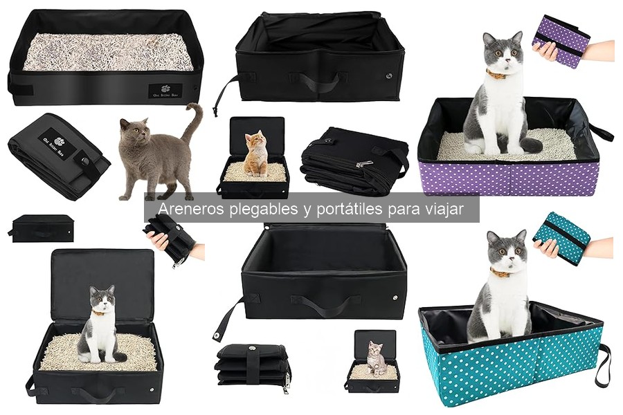 Dónde comprar areneros portátiles para gatos y precios
