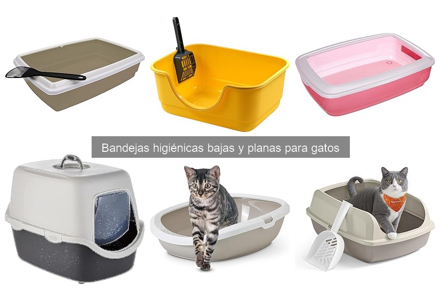 Dónde comprar bandejas higiénicas planas para gatos