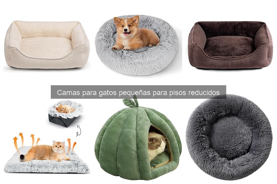 Dónde comprar camas para gatos pequeñas: opciones y ofertas
