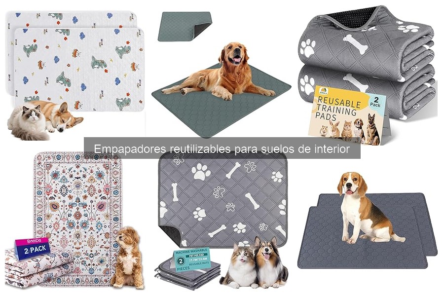 Dónde comprar empapadores reutilizables para mascotas baratos