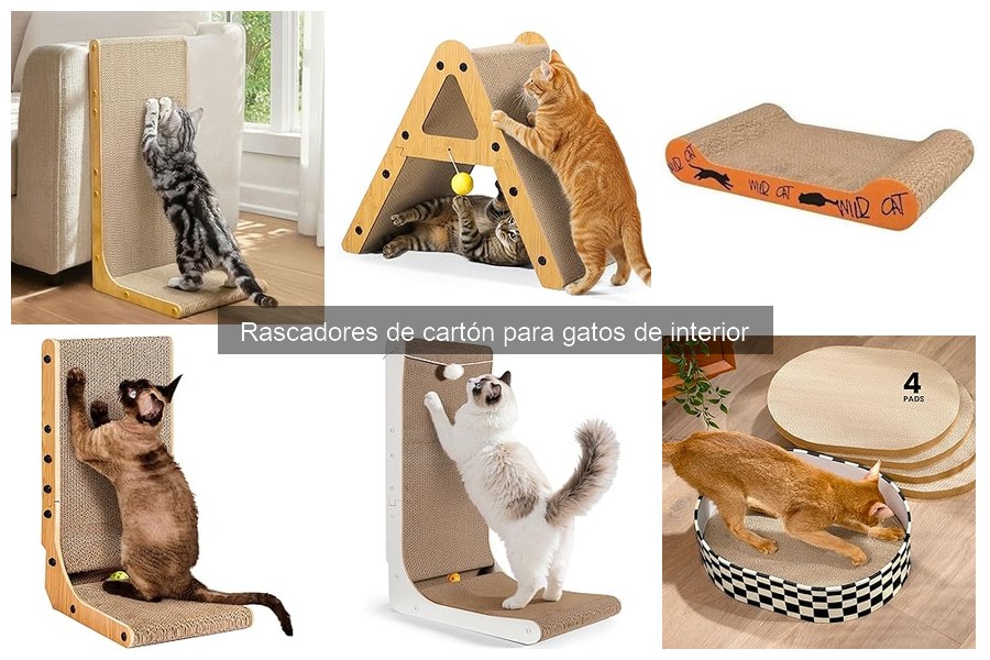 Dónde comprar rascadores de cartón para gatos: mejores precios