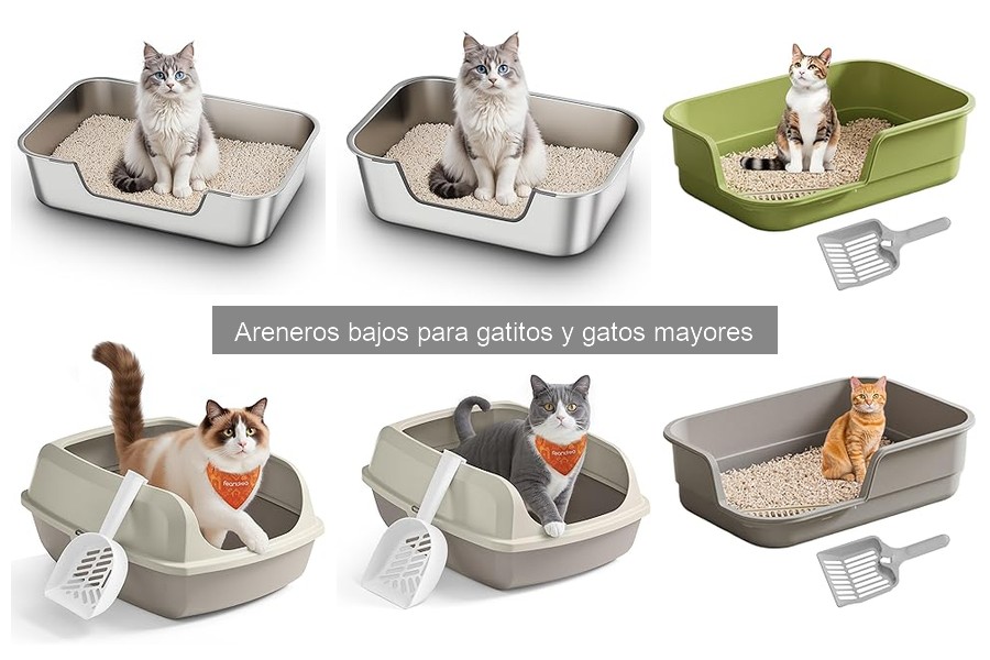 El tamaño ideal de arenero bajo para gatos mayores y gatitos