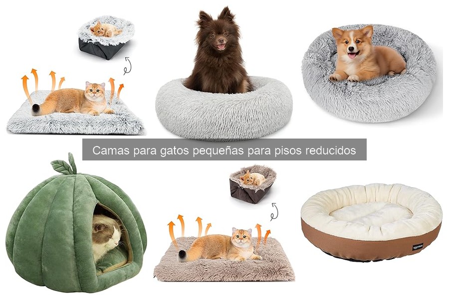 Errores al elegir camas para gatos pequeñas que afectan su salud