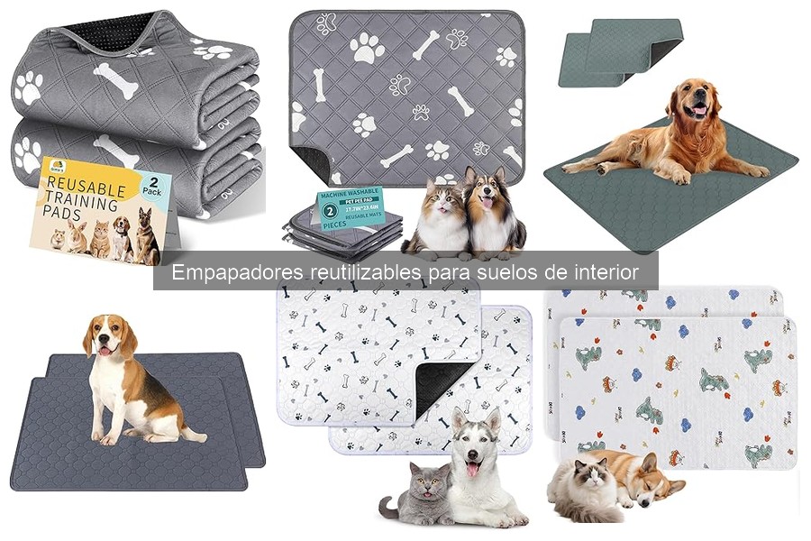 Errores al usar empapadores reutilizables para mascotas