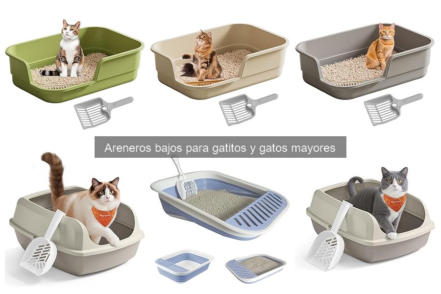 Errores comunes al elegir areneros bajos para gatos