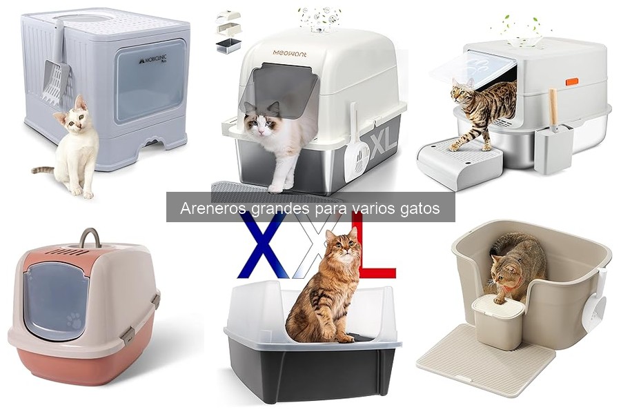 Errores comunes al elegir areneros grandes para gatos