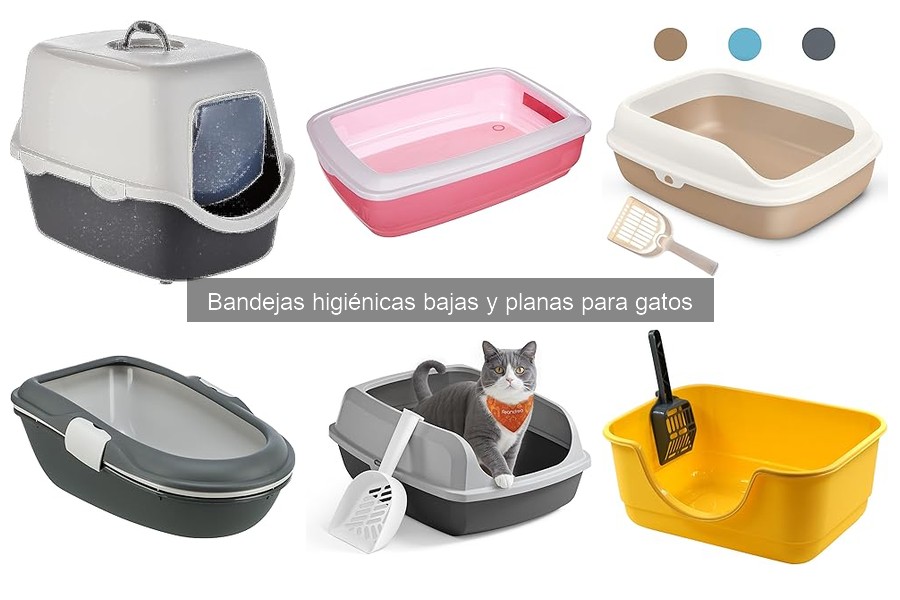 Errores comunes al elegir bandejas higiénicas para gatos