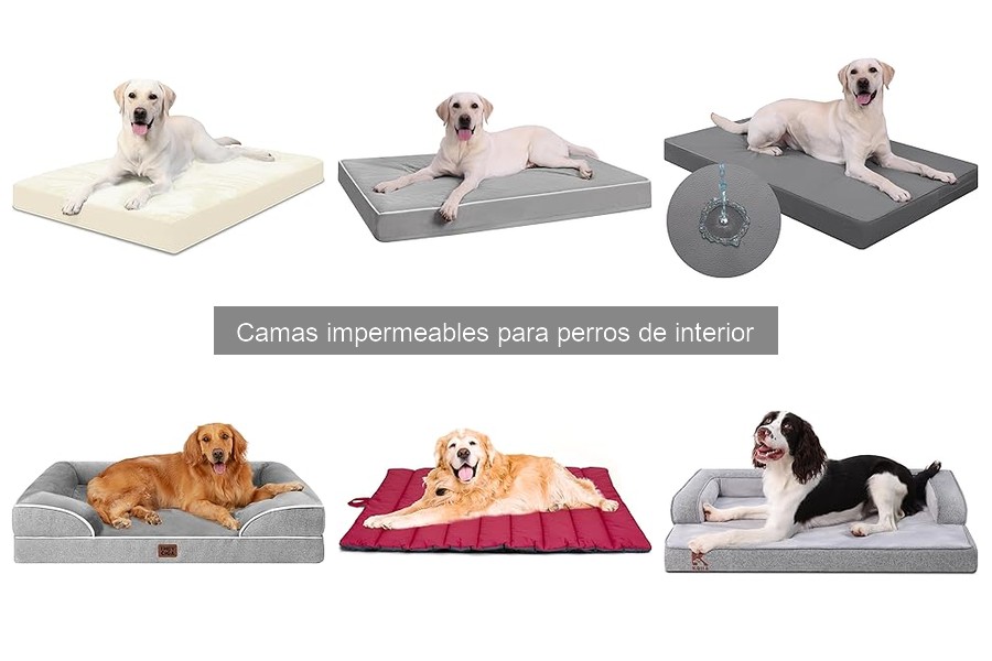 Errores comunes al elegir camas impermeables para perros
