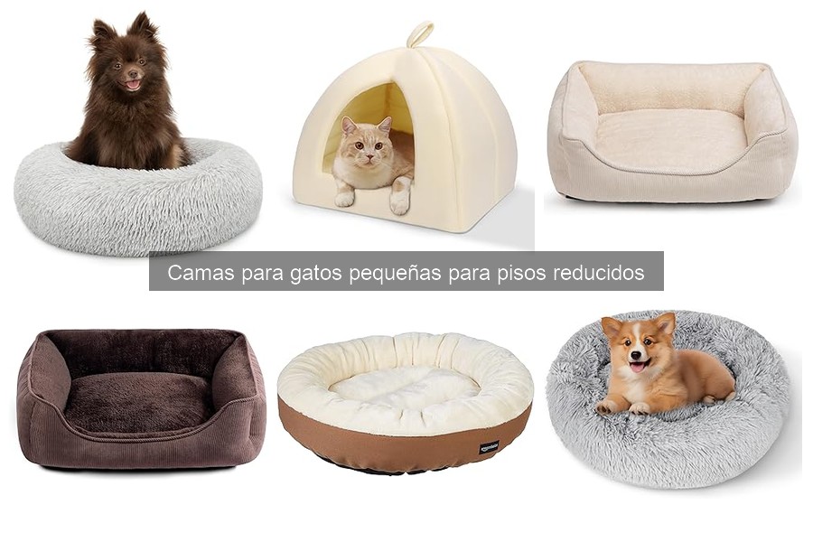 Errores comunes al elegir camas para gatos pequeñas