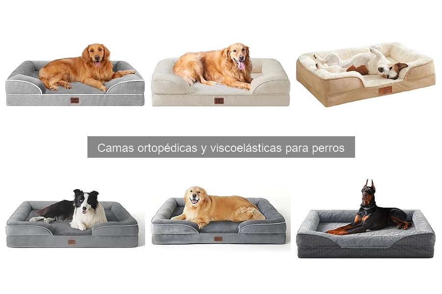 Errores comunes al elegir camas para perros mayores