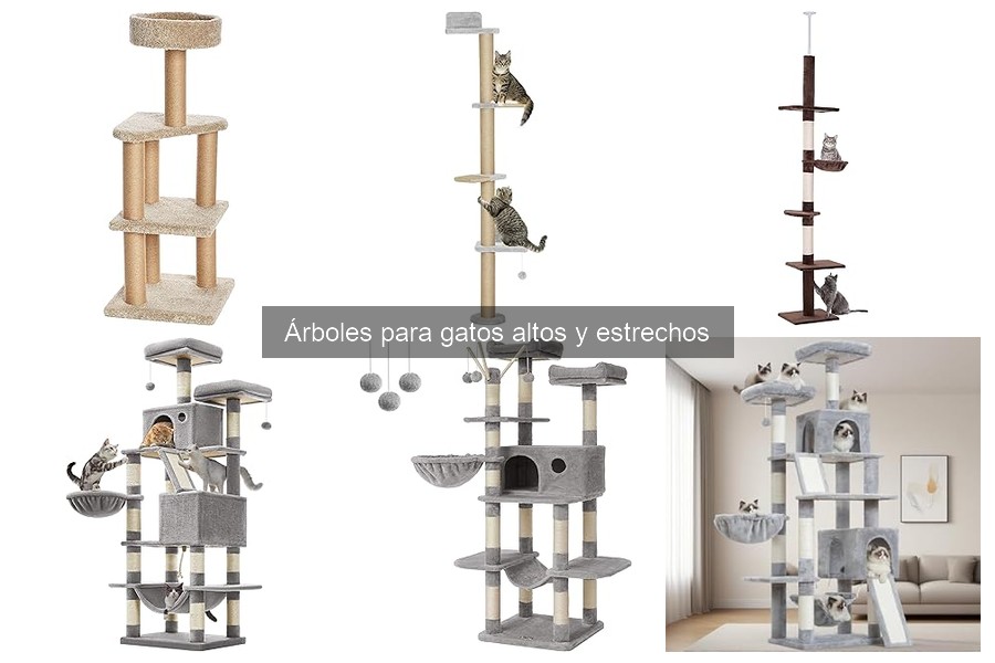 Errores comunes al elegir un árbol para gatos alto y estrecho