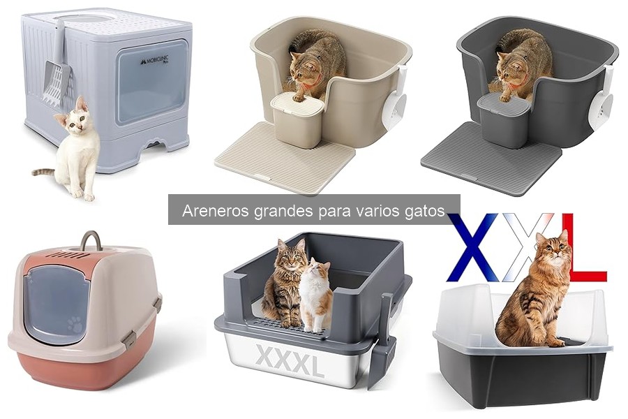 Errores comunes al usar areneros grandes para varios gatos