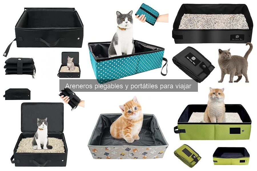 Errores comunes al usar areneros portátiles para viajar