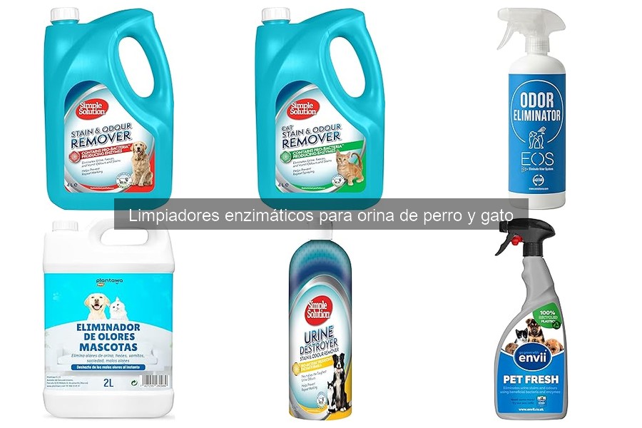 Errores comunes al usar limpiadores enzimáticos para mascotas