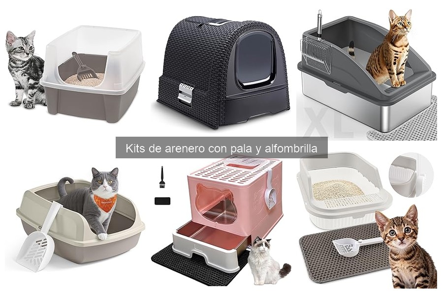 Errores comunes con kits de arenero: ¡Evítalos!