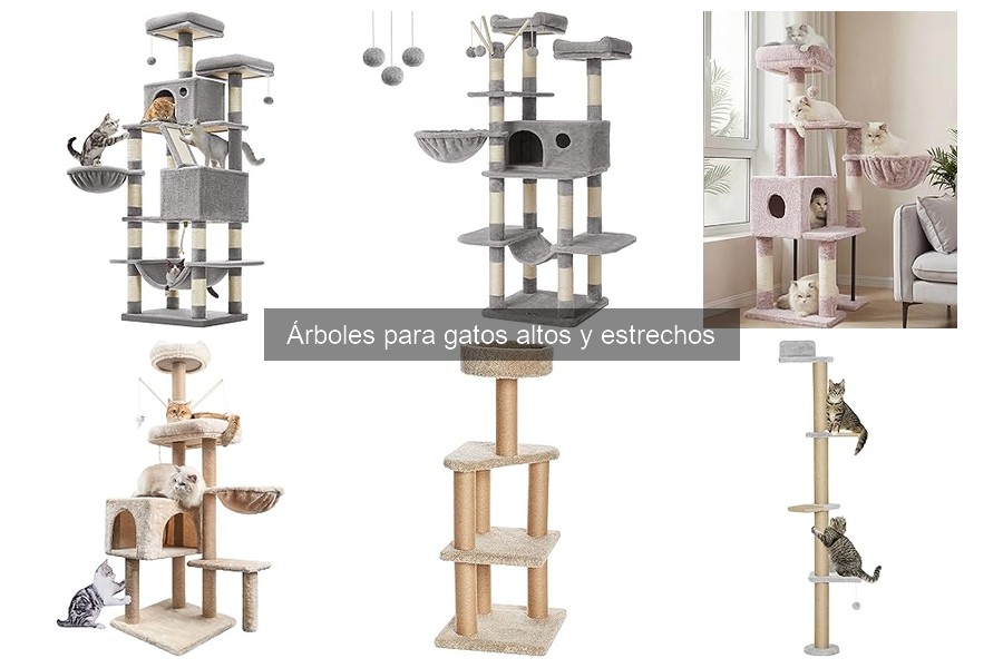 Estimula a tu gato para usar un árbol alto y estrecho