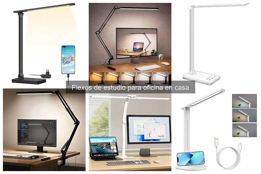 Flexos de estudio económicos para estudiantes en 2023