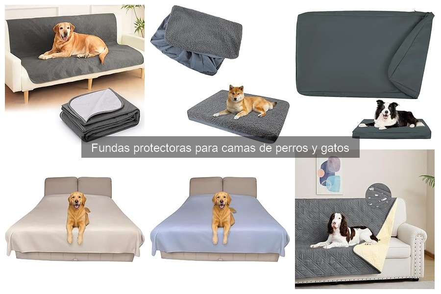Fundas Protectores para Mascotas: Combate Alergias Eficazmente