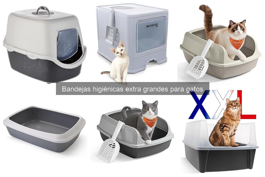 Guía de compra de bandejas higiénicas extra grandes para gatos