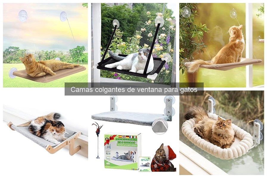 Guía de compra de camas colgantes de ventana para gatos