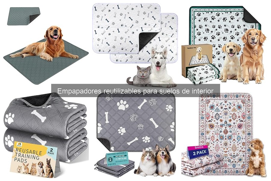 Guía de compra de empapadores reutilizables para mascotas