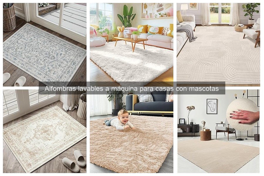 Guía para elegir alfombras lavables a máquina para mascotas