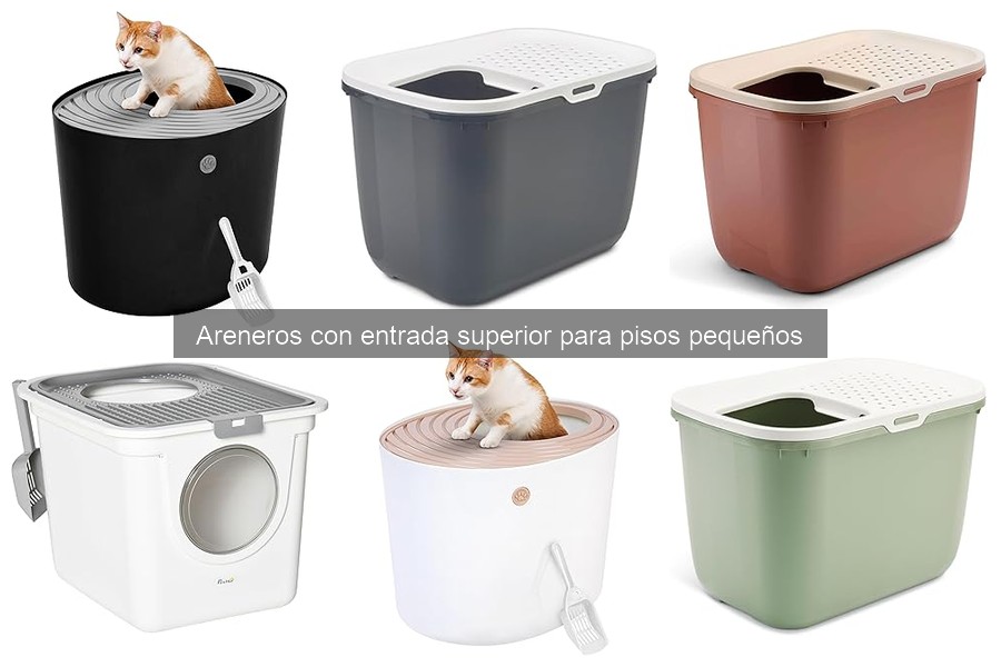 Guía para elegir el arenero con entrada superior ideal