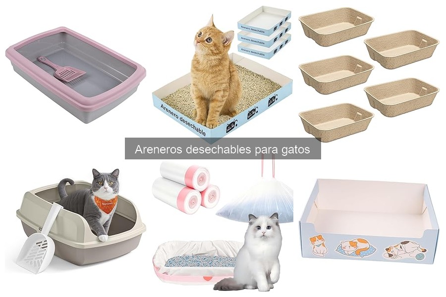 Guía para elegir el mejor arenero desechable para gatos