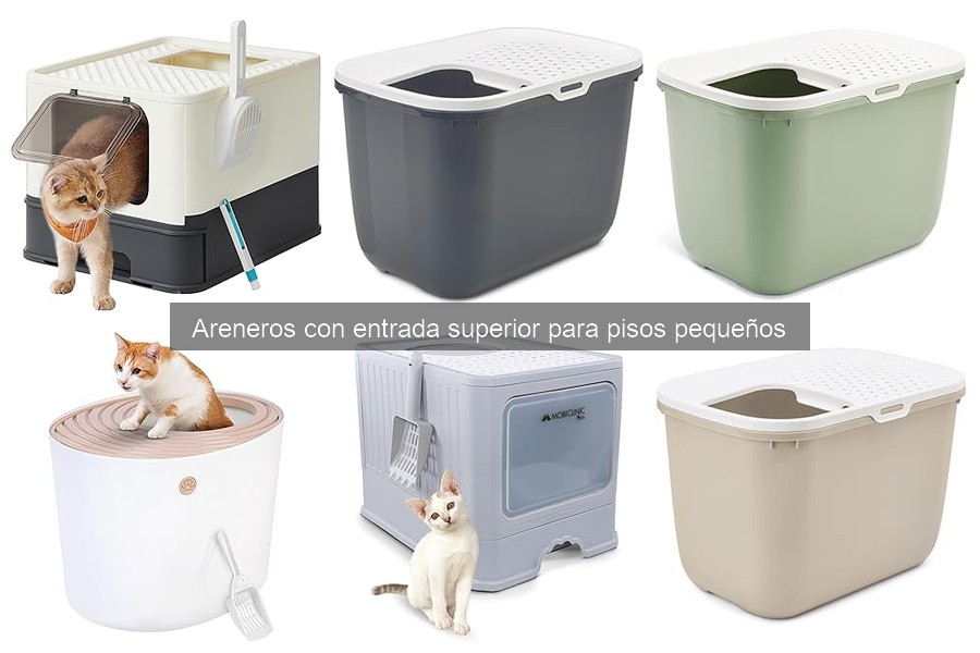 Guía paso a paso para instalar un arenero con entrada superior