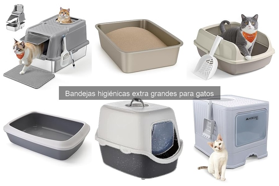 Impacto del Tamaño de la Bandeja en el Comportamiento del Gato