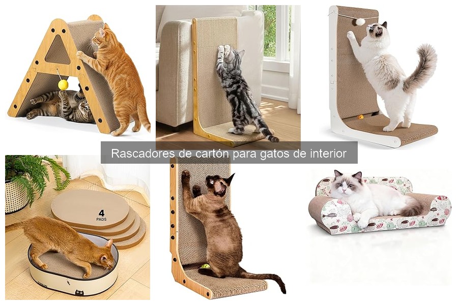 Incentiva a tu gato a usar rascadores de cartón