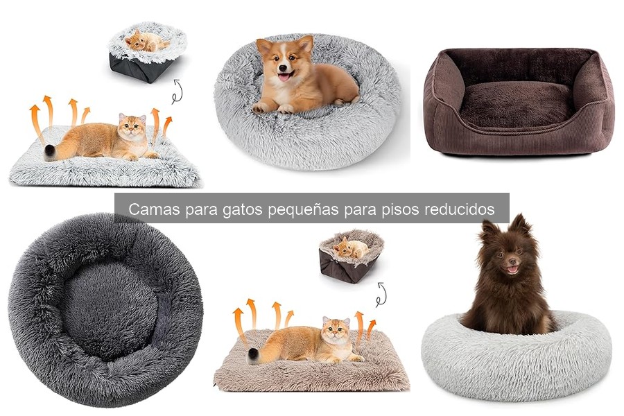 Instalación de Camas para Gatos Pequeñas: Claves Prácticas