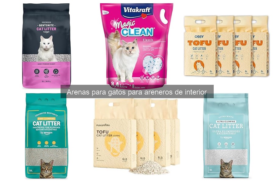 Mantén el arenero limpio: consejos y mejores prácticas