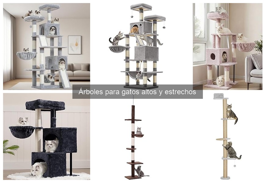Mantenimiento de Árboles para Gatos: Consejos y Cuidados