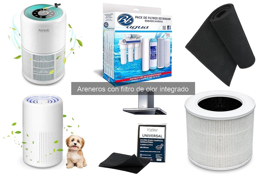 Mantenimiento de Areneros con Filtro de Olor: Guía Práctica