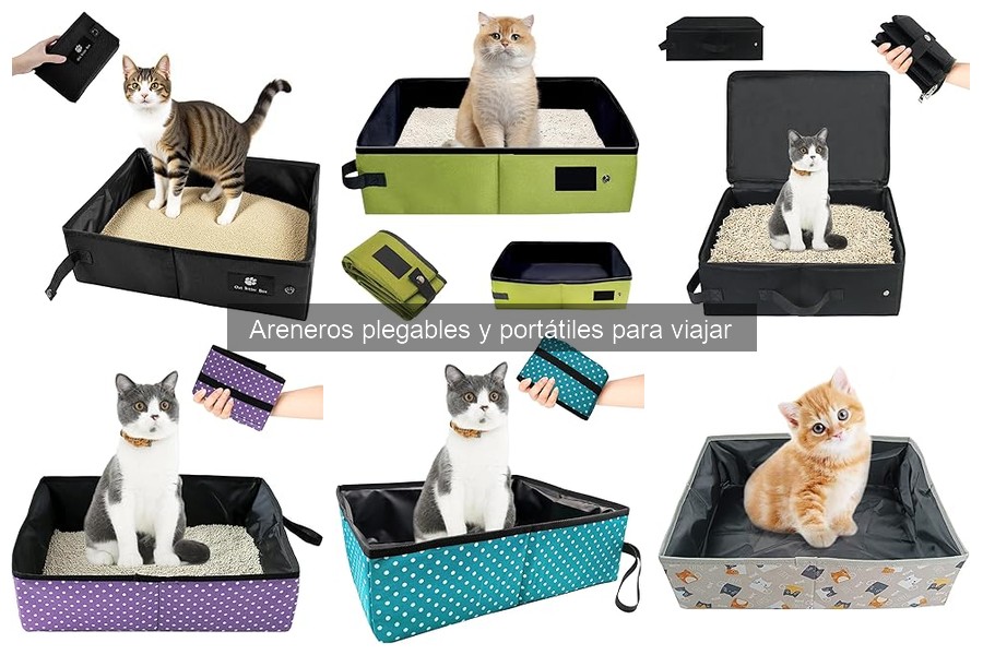 Mantenimiento de areneros portátiles: limpieza y cuidados