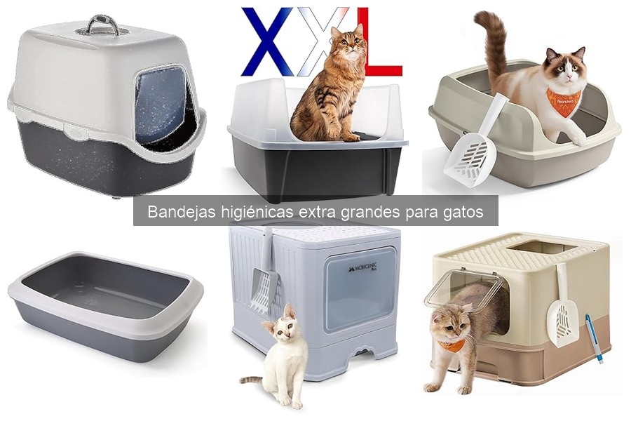 Mantenimiento de bandejas higiénicas extra grandes para gatos