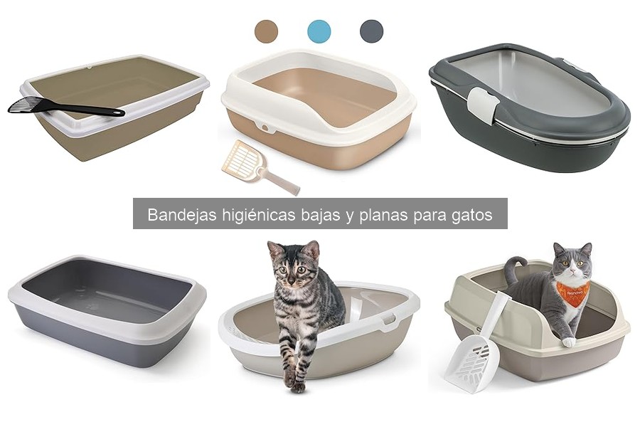 Mantenimiento de bandejas higiénicas planas para gatos