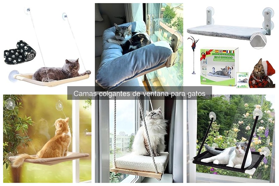 Mantenimiento de camas colgantes de ventana para gatos