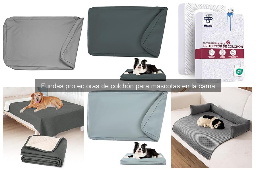 Mantenimiento de Fundas Protectores de Colchón para Mascotas