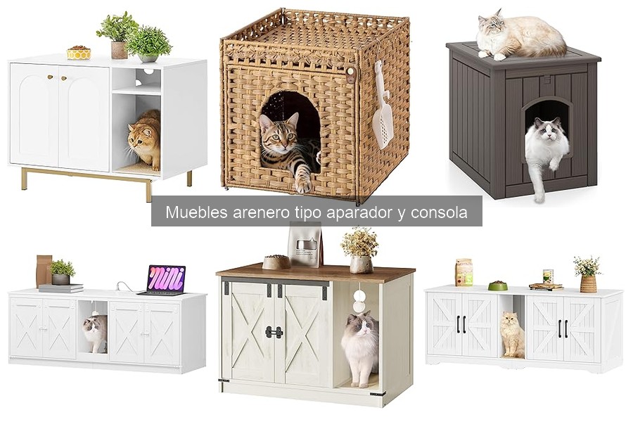 Mantenimiento y cuidado de un arenero tipo aparador