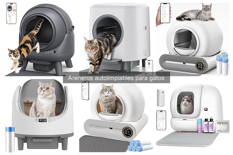 Mantenimiento y limpieza de areneros autolimpiables para gatos