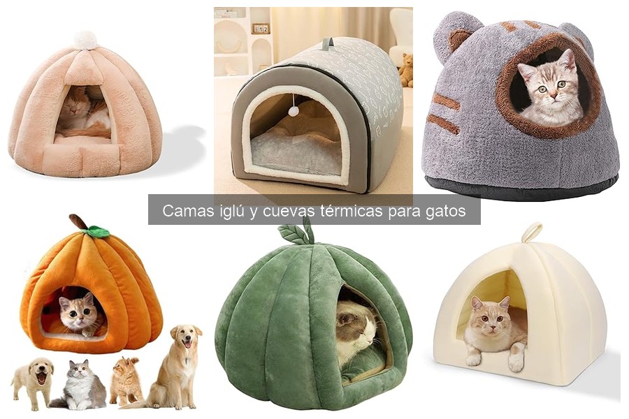 Mantenimiento y limpieza de camas iglú para gatos