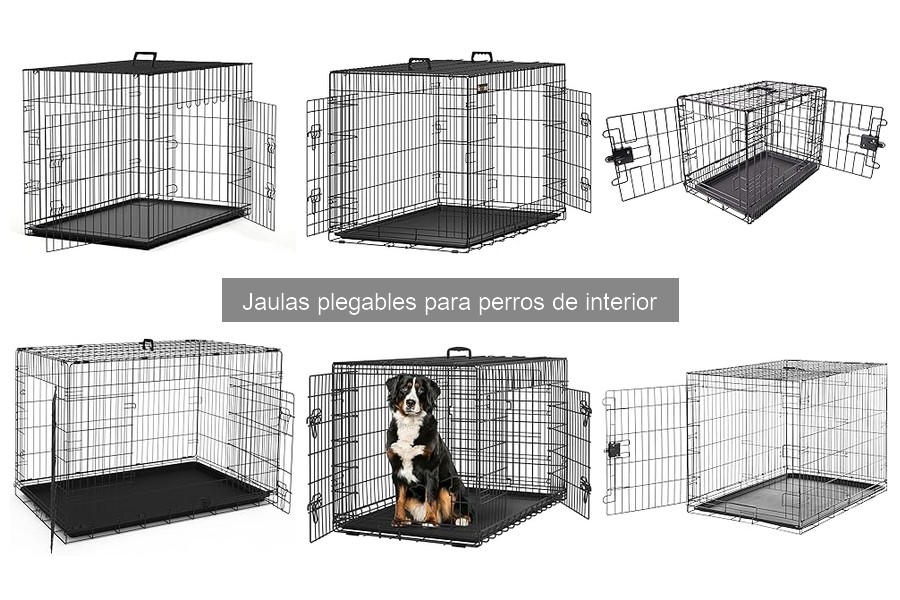 Mantenimiento y limpieza de jaulas plegables para perros