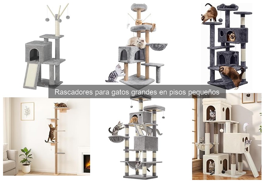 Mantenimiento y limpieza de rascadores para gatos grandes