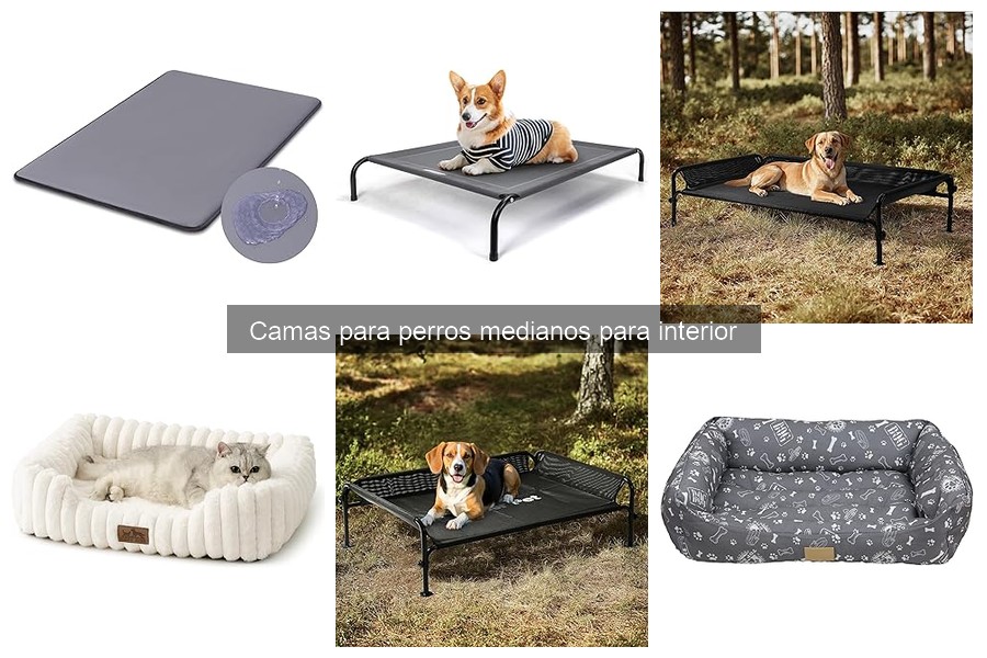 Materiales y Certificaciones Seguras para Camas de Perros