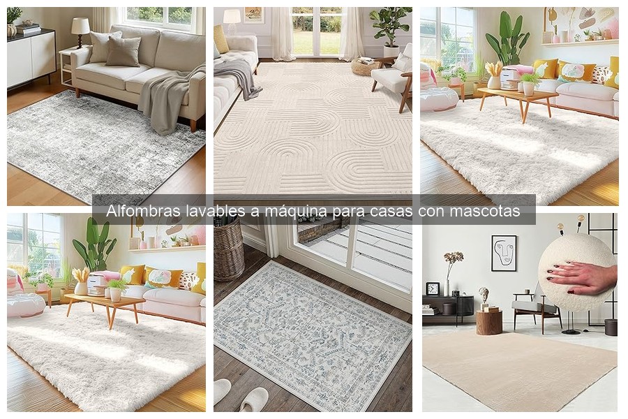 Mejores alfombras lavables para casas con mascotas