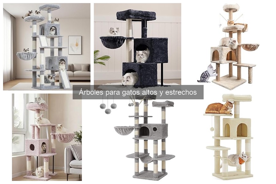 Mejores árboles para gatos altos y estrechos según usuarios