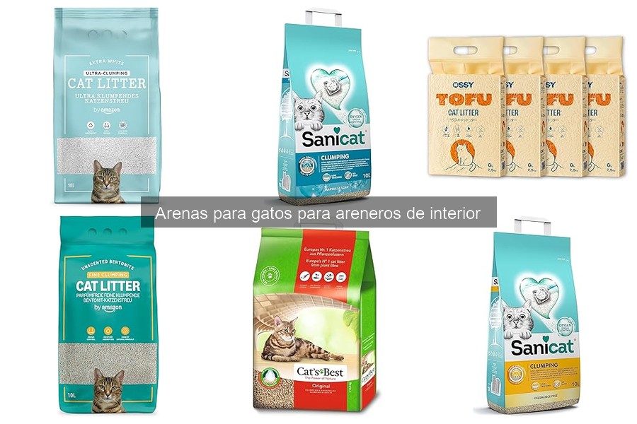 Mejores Arenas para Gatos en Apartamentos Pequeños